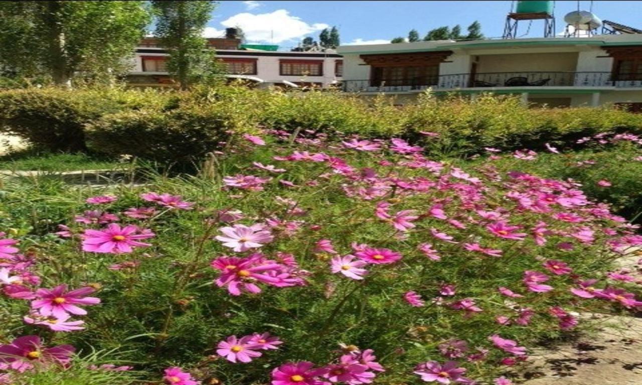 Royal Heritage Resort Leh Eksteriør bilde