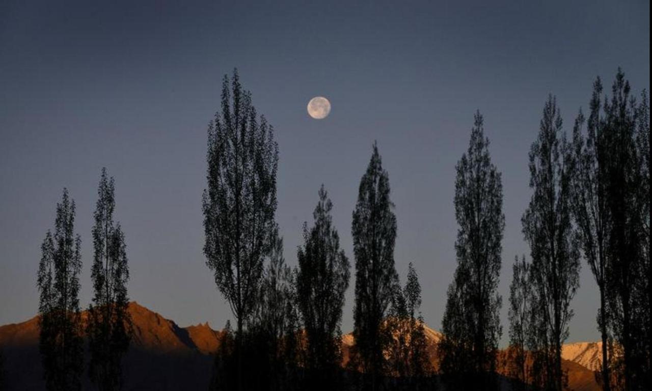 Royal Heritage Resort Leh Eksteriør bilde